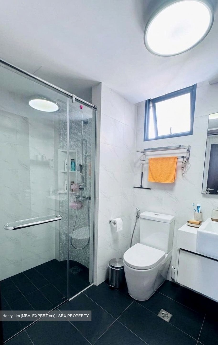 Symphony Suites (D27), Condominium #576525231